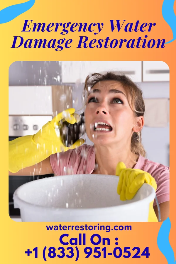 Emergency Water Damage Restoration in Amherst, VA