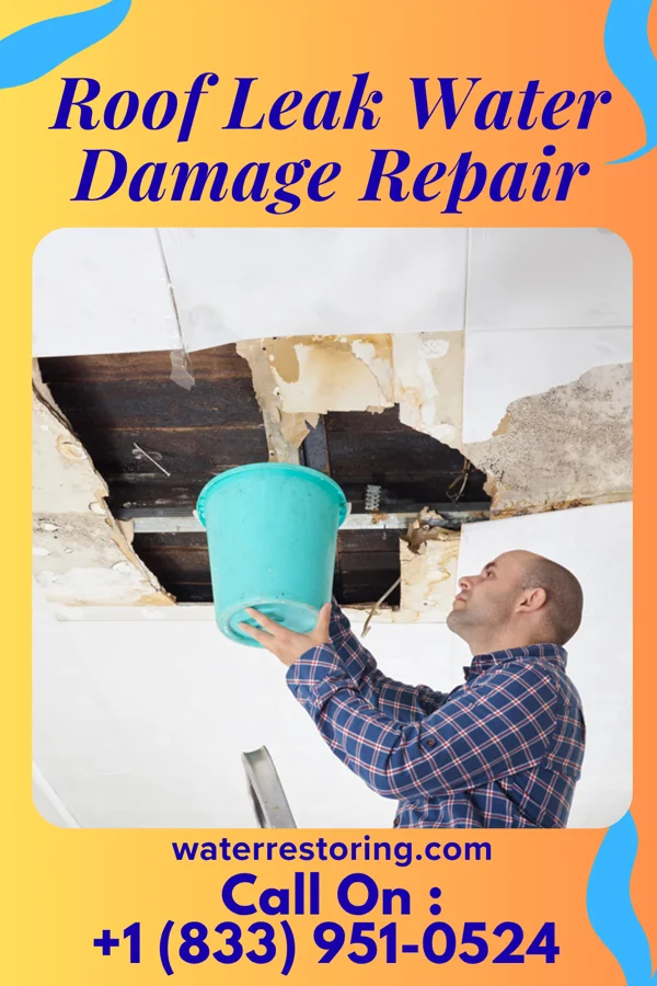 Roof Leak Water Damage Repair in Amherst, VA