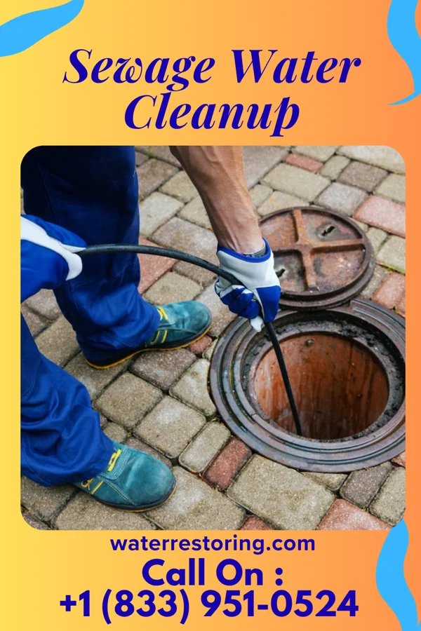 Sewage Water Cleanup in Amherst, VA